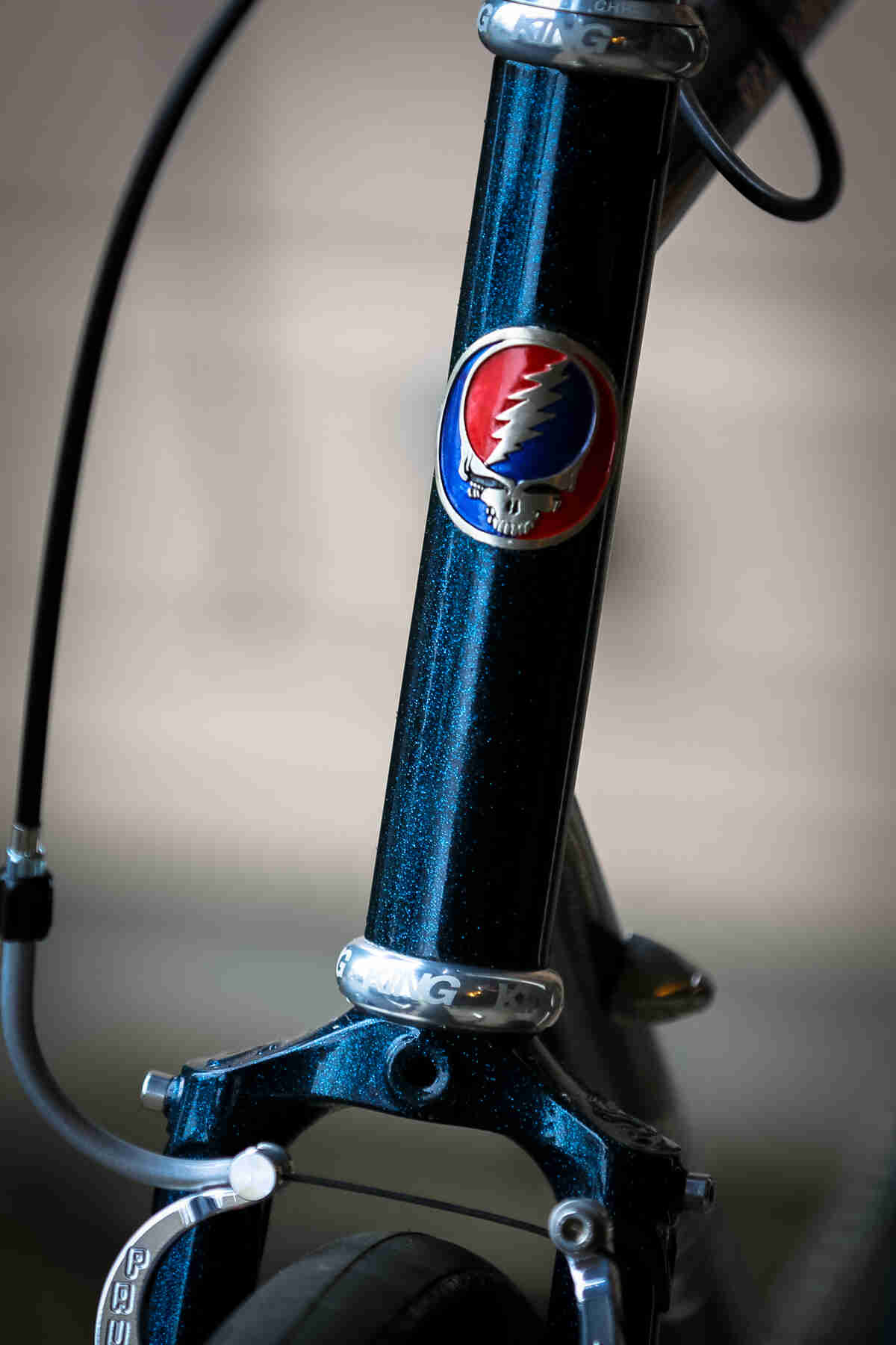 Surly Travelers Check bike - green - head tube with a Grateful Dead emblem detail - front view