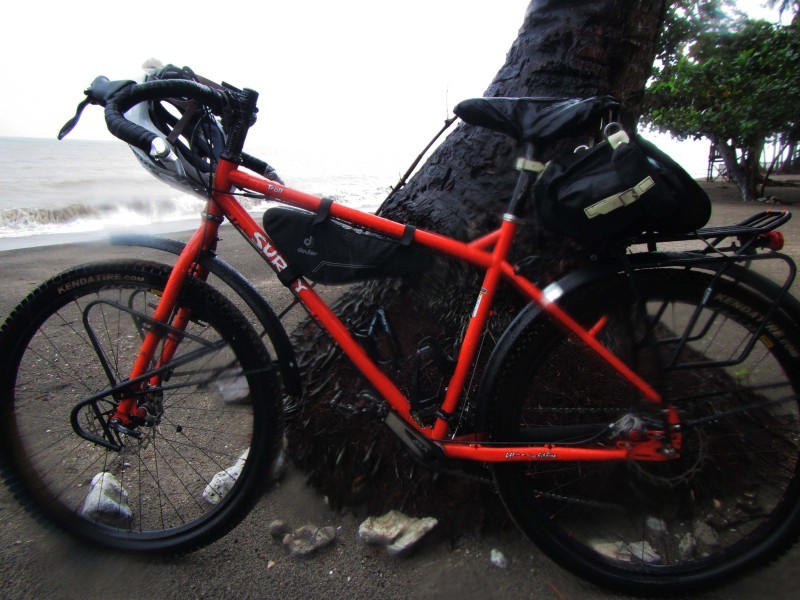 Left side view of a red Surly Troll bike, leaning against the base of a palm tree on a beach