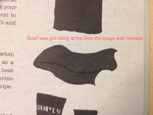 Catalog page showing a Surly scarf with text above showing, Scarf was out riding at the time it's image was needed