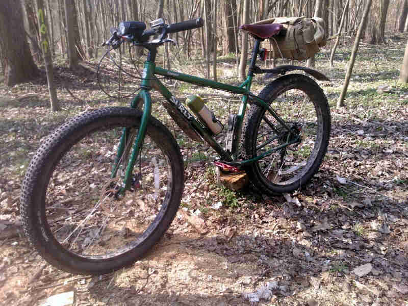 Left side view of a green Surly Krampus bike, parked on a leaved covered clearing, in the bare woods