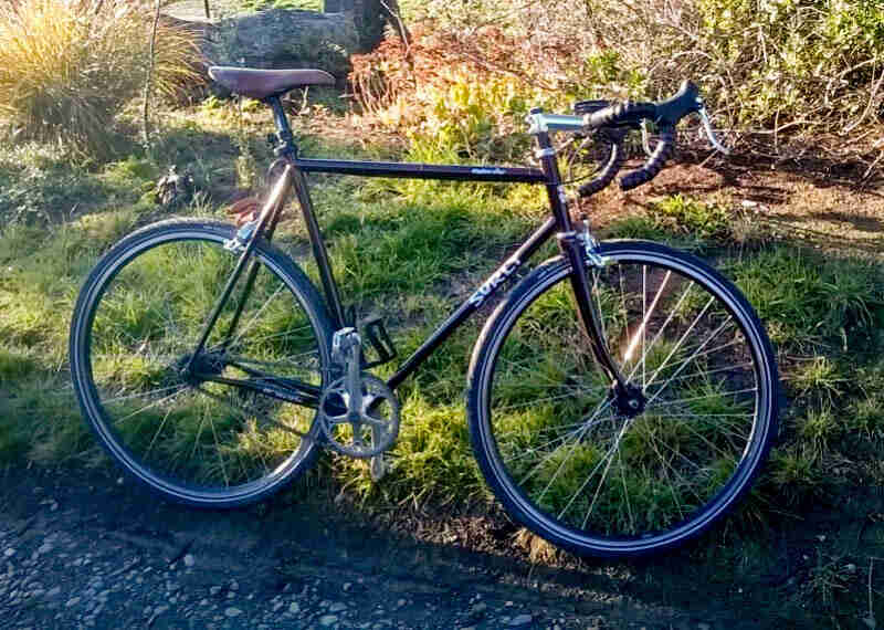 Right side view of a Surly Steamroller bike, burgundy, parked on the side of a gravel road, with weeds in the background