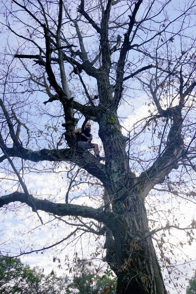 Upward view of a person sitting in a tree with few leaves on it