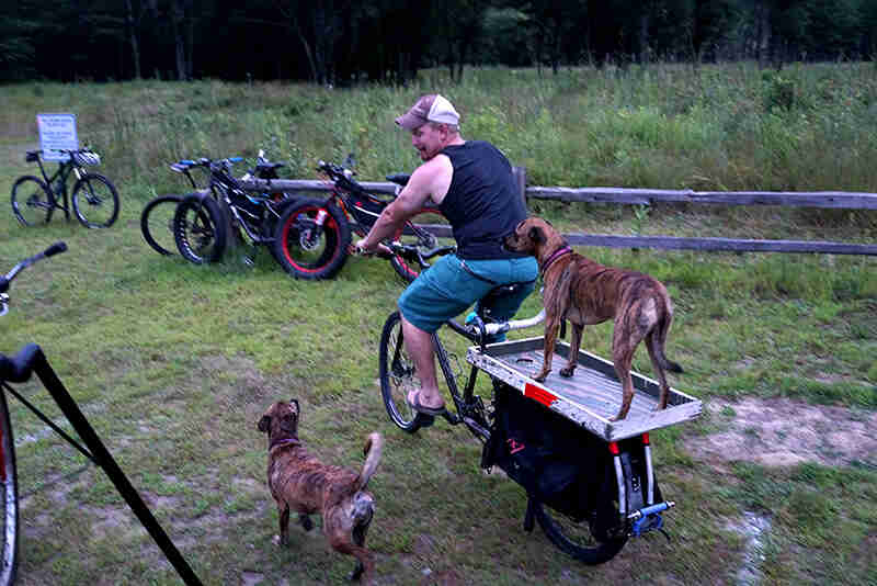 Rear, left view of a cyclist riding a Surly Big Dummy bike with a dog on the back rack tray, in a grass lot 