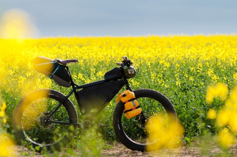 Right side view of a black Surly fat bike with gear packs, parked in front of a field of yellow flowers
