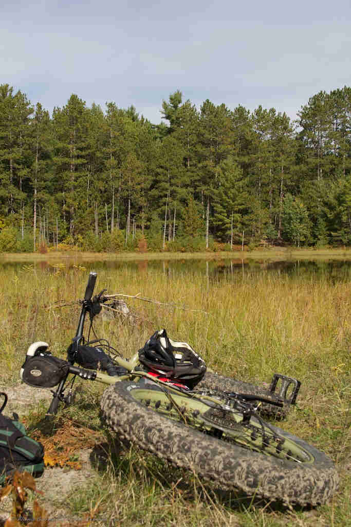 Rear view of a green Surly fat bike, laying in grass, facing a pond with pine trees in the background