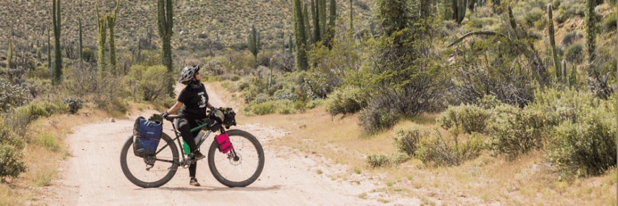 Cyclist on a fat bike with gear looks up a hill from a desert gravel road with large cactuses and hills in background