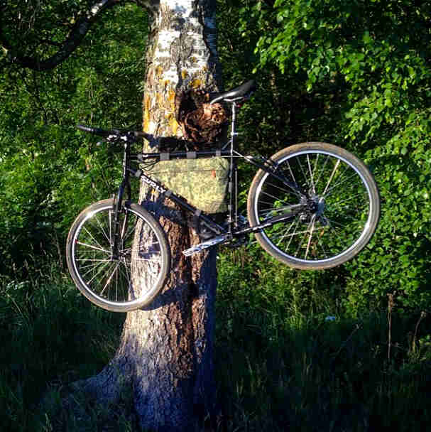 Left side view of a black Surly bike, hanging from a tree truck, with green woods in the background