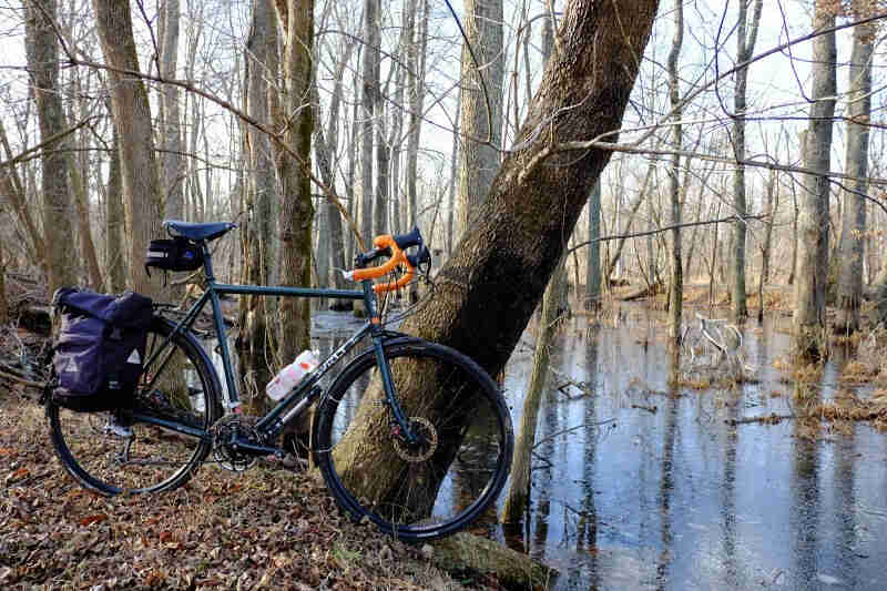 Right side view of a Surly bike with gear, leaning against a tree on a leafy bank, facing a pond in the woods