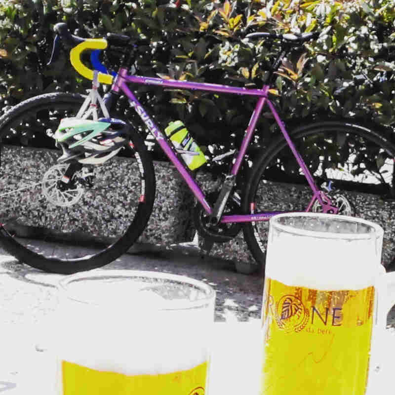 Left side view of a purple Surly bike, alongside hedges, with 2 mugs of beer in the forefront at the bottom