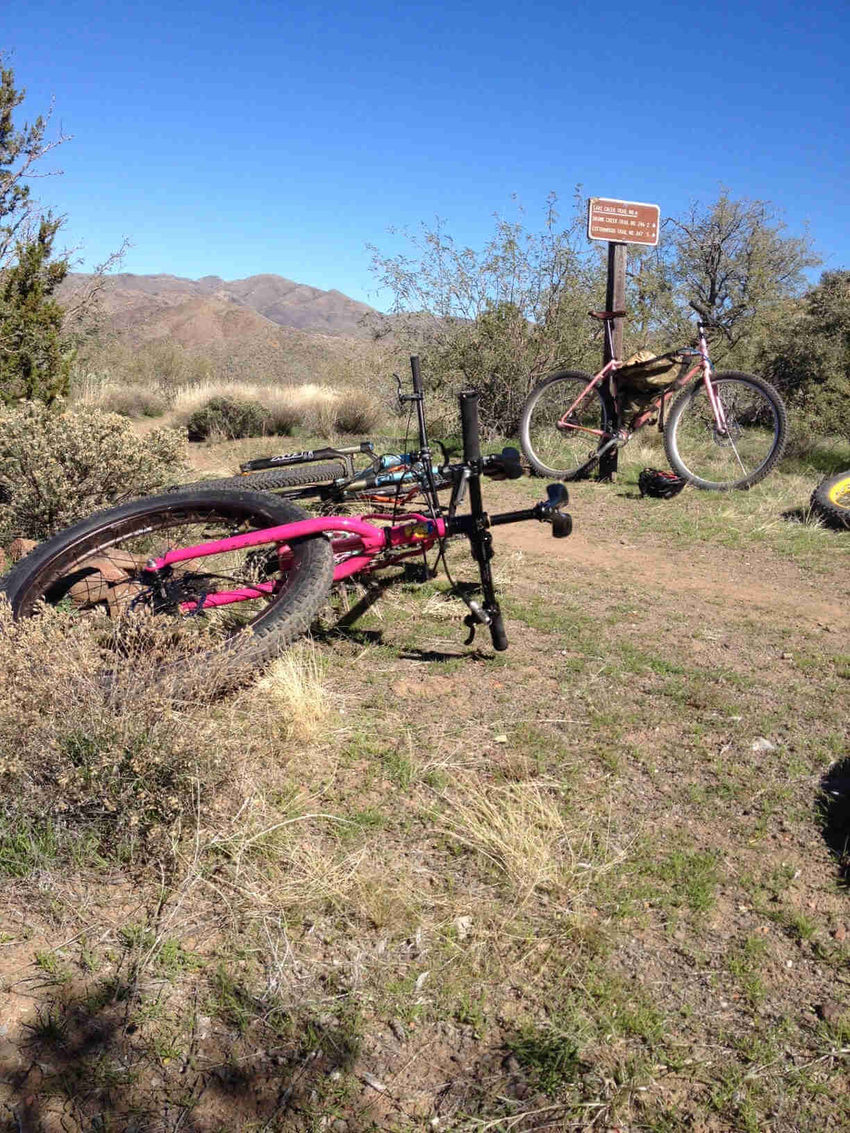 Two Surly bikes, laying on desert grass beside a dirt trail, and another parked against a sign on the other side