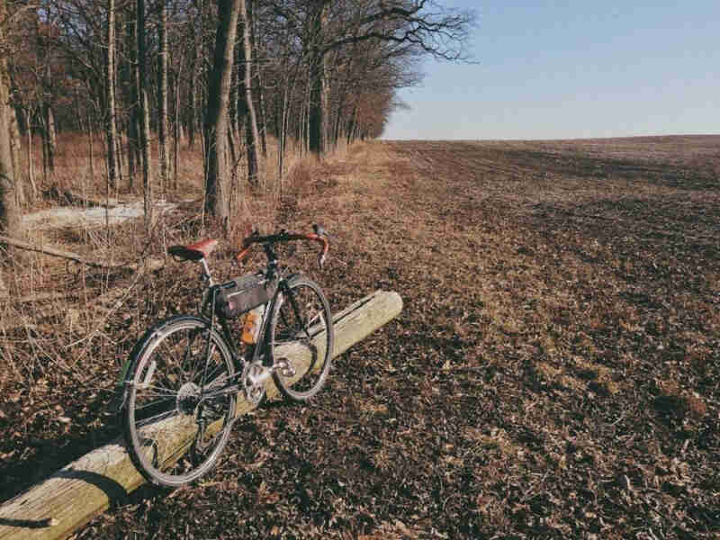 Rear, right side view of a black Surly Cross Check bike, parked next to a log on a tree line, facing a bare field
