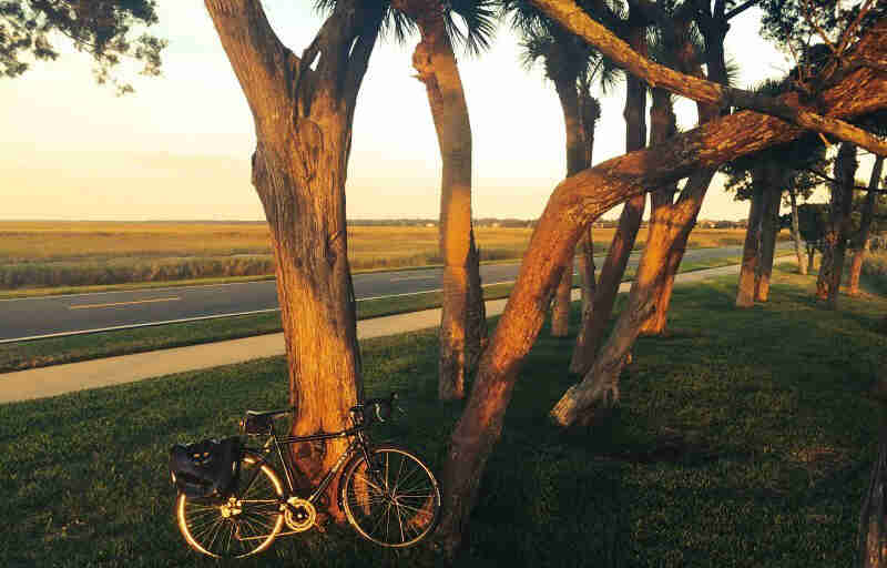 Right profile of a Surly bike, parked on grass in front of a tree, with a roadway and grass field in the background