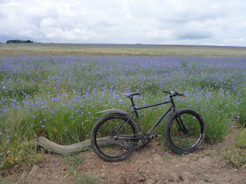 Right side view of a black Surly bike, parked on dirt in front of a field of blue flowers
