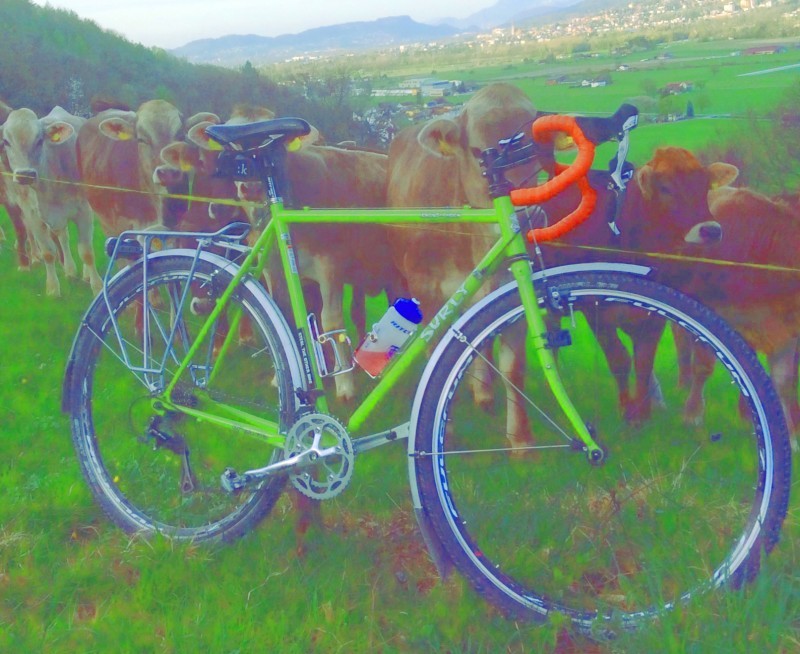Green saturation view of the right side of a Surly Cross Check bike, parked in a grass field with cows behind it