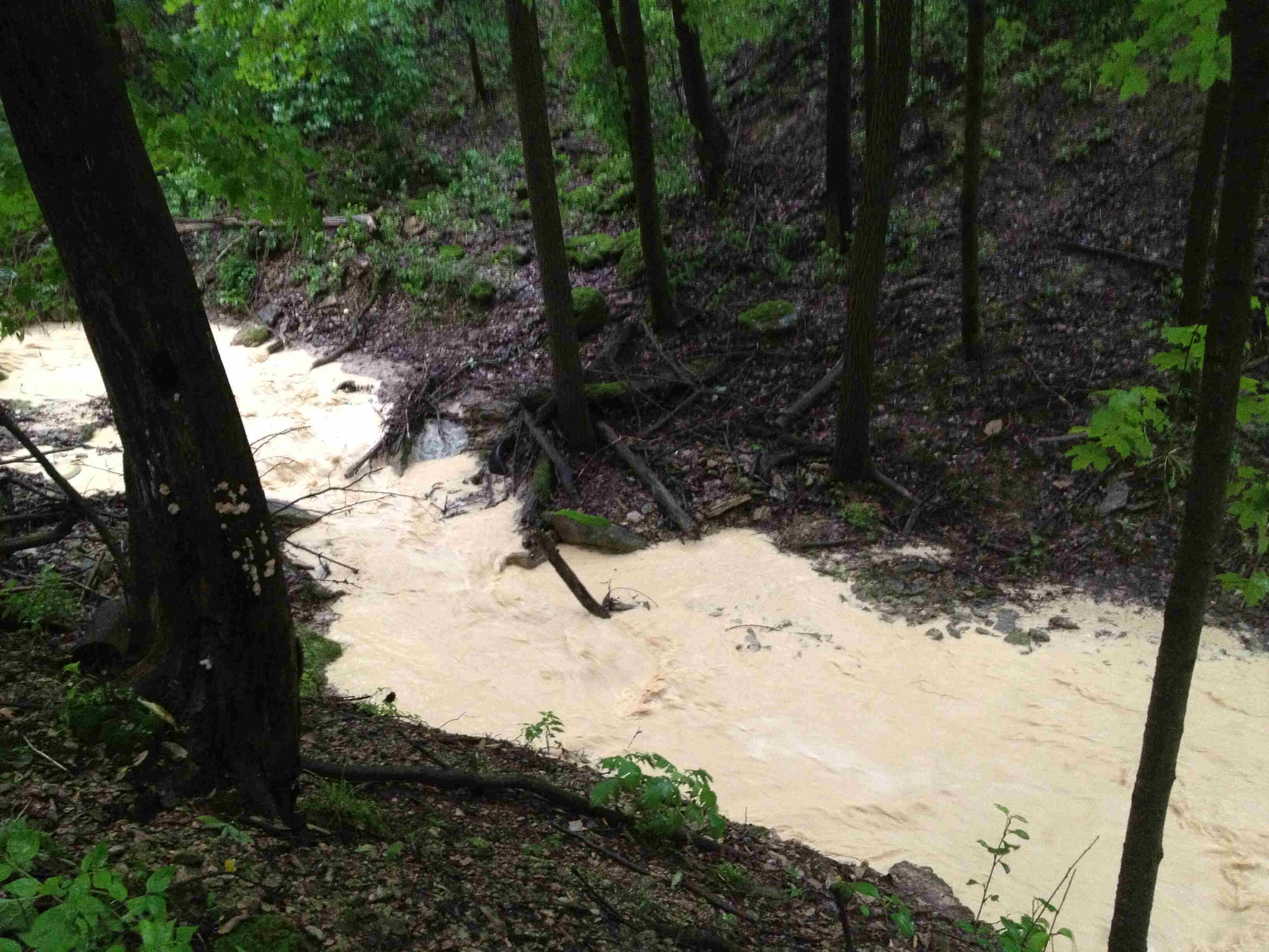 Downward view of a muddy flooded stream, flowing through the rain-soaked woods