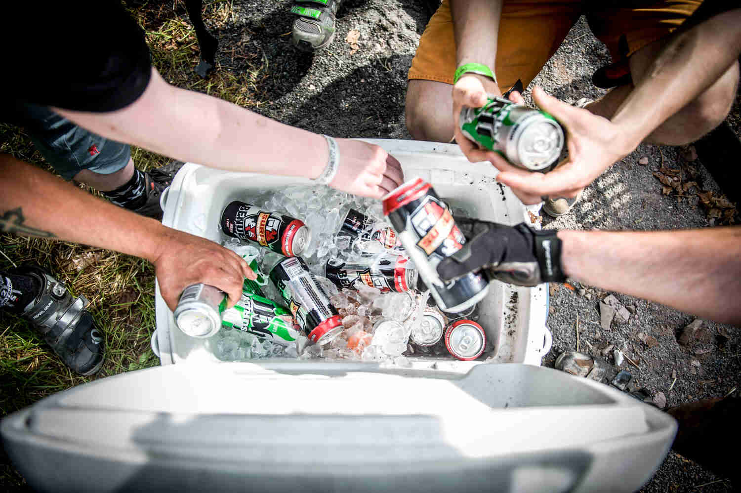 Downward view of hands reaching into cooler of beer cans and ice