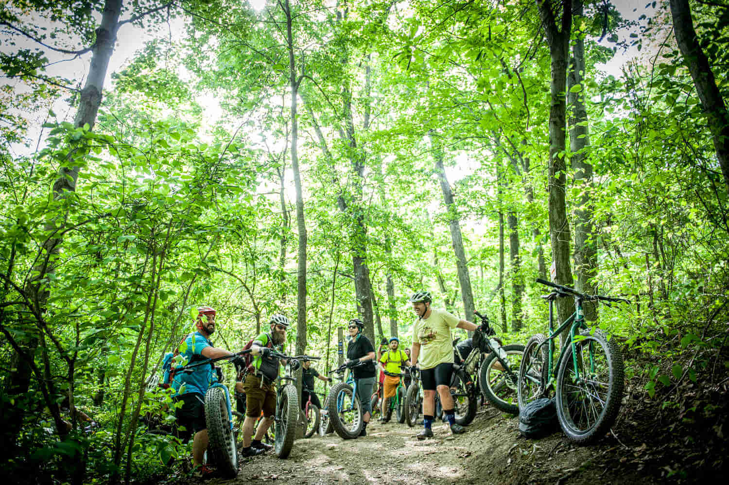 A group of cyclists, standing with their Surly fat bikes, on a dirt trail in a green forest