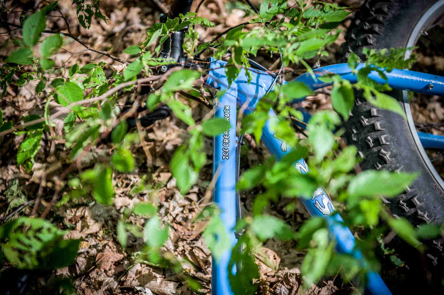 Close up view of weeds covering the front portion of a blue Surly Ice Cream Trucker bike