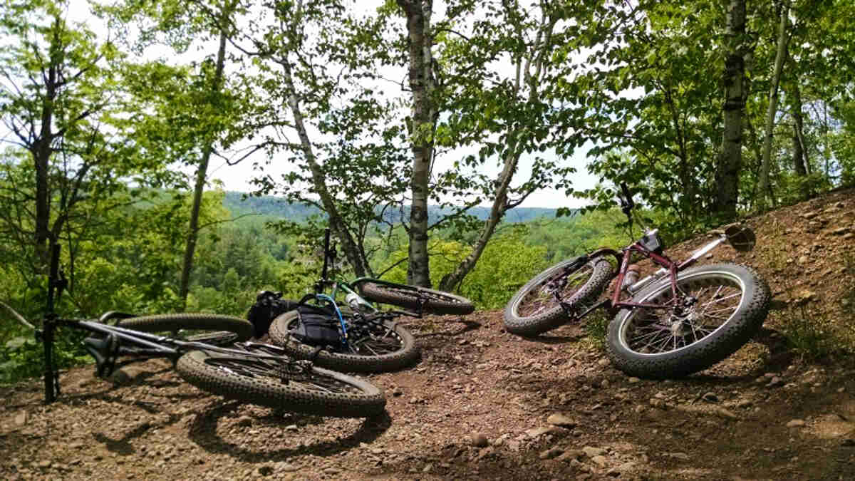 Rear view of 3 bikes laying on their side on top of a dirt hill, with trees and a forest below in the background