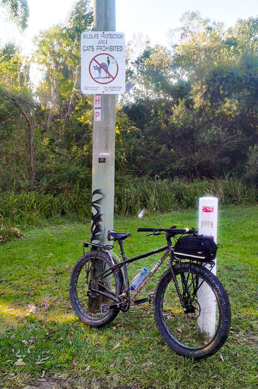 Right side view of a Surly ECR bike with racks, parked against a pole with a, Cat Prohibited sign, next to the woods