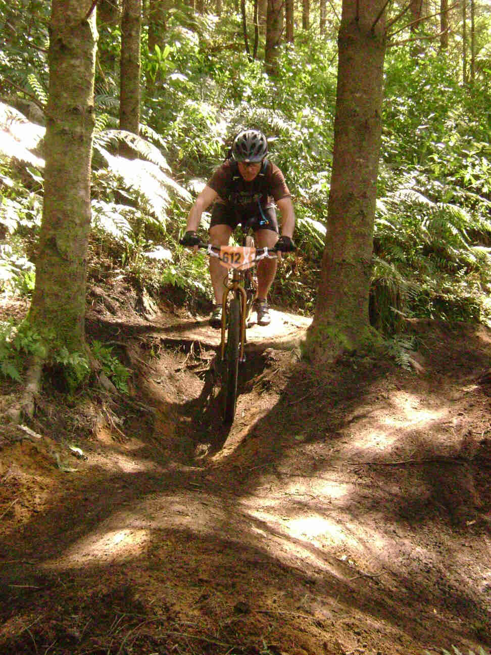 Front view of a cyclist, riding a Surly bike between 2 trees, on a dirt trail in a sunny forest