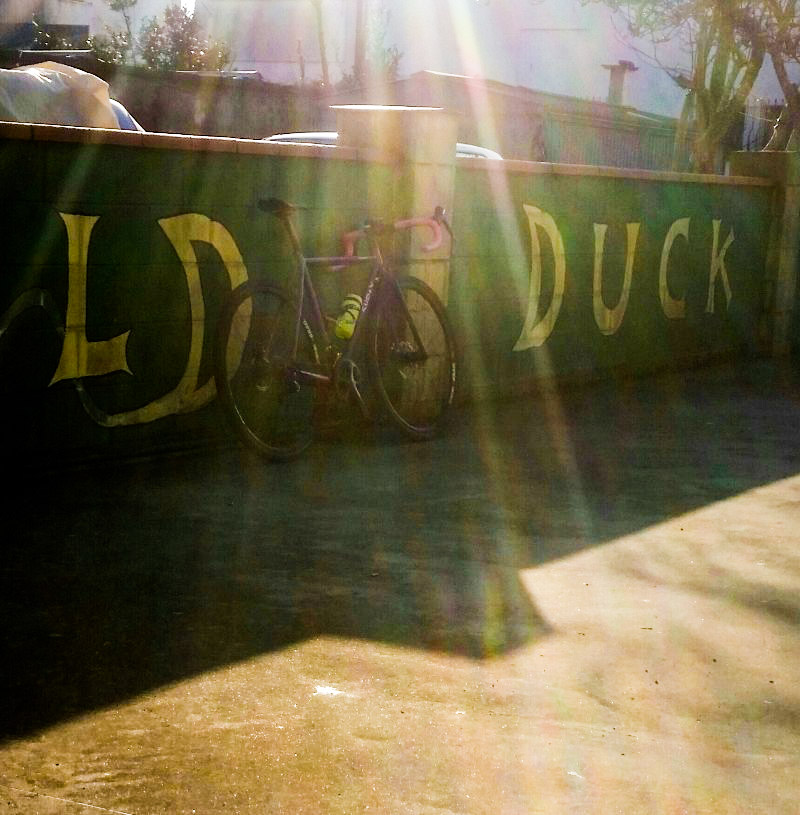 Rear right view of a Surly bike, leaning a on painted block wall, with sun rays shining down
