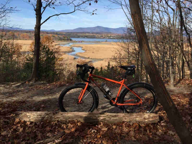 Left side view of an orange Surly Troll bike, on a dirt, forest clearing, with wetlands and mountains in the background