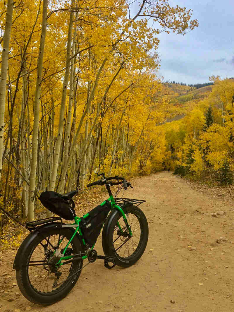 Rear right side view of a green Surly fat bike facing down a gravel trail on a hill, with forest on each side