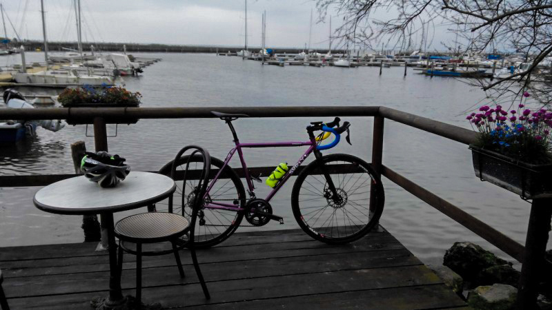 Right side view of a purple Surly bike parked against the rail of a wood deck next to a marina