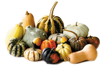 A pile of different types of gourds with a white background