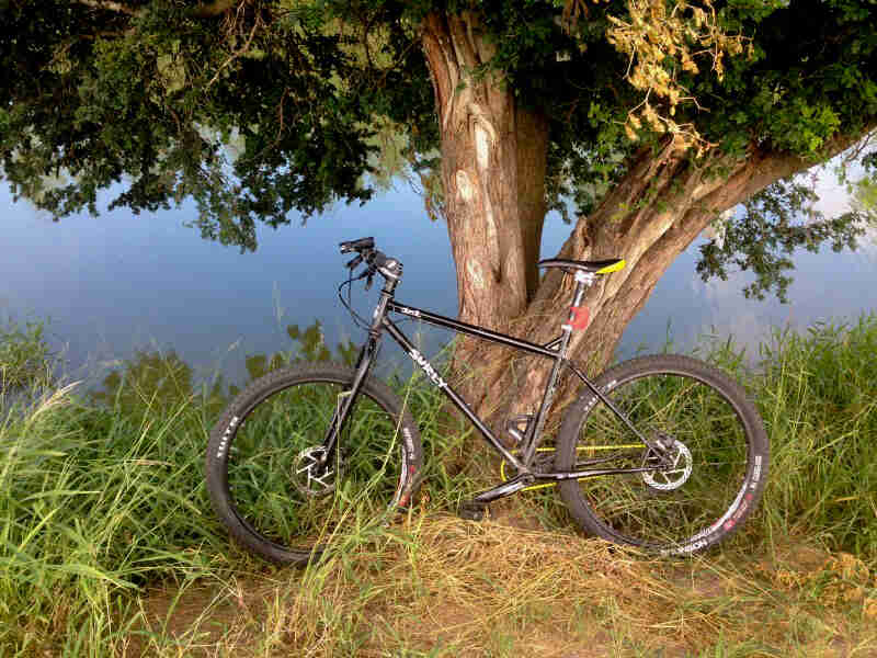 Left profile of a black Surly bike, parked in weeds at the base of a tree, with fog in the background