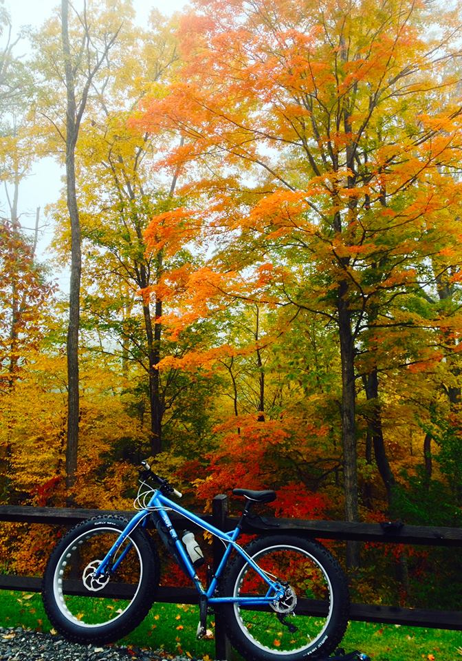 Left side view of a blue Surly Ice Cream Truck bike, leaning on a wood rail fence, with changing leaves in background
