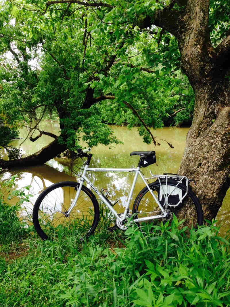 Left side view of a white Surly bike, leaning on a tree on a grassy bank of a river with trees behind it