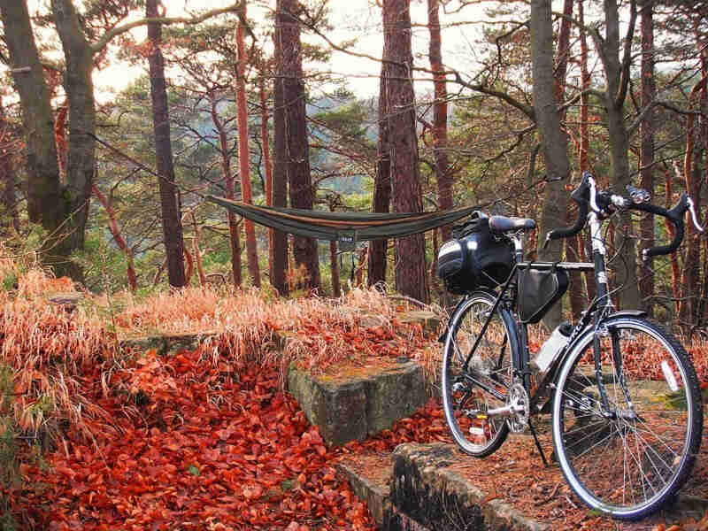 Front, right side view of a black Surly bike, parked on a stone block, in a forest with red leaves on the ground
