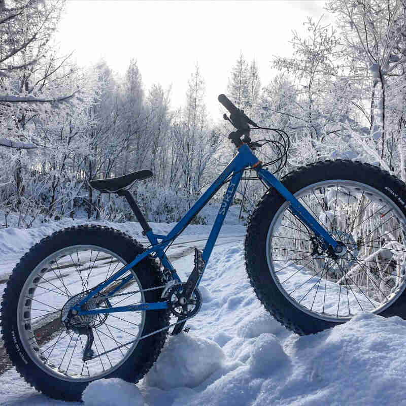 Right side view of a blue Surly fat bike, parked in a snowbank next to a road, in the snowy woods