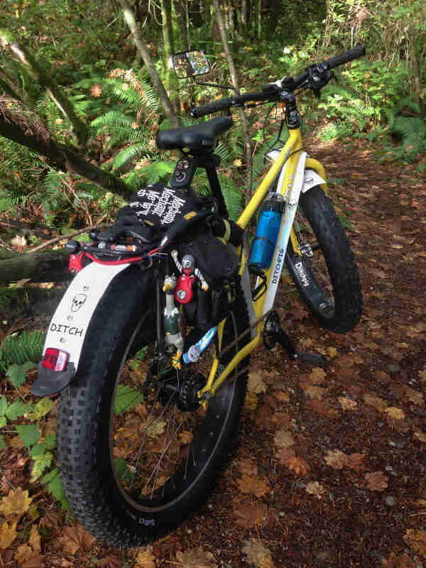 Rear, right side view of a yellow Surly fat bike, on the side of a trail, facing the woods with ferns on the ground