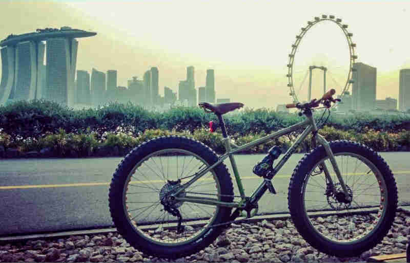 Right side view of a Surly fat bike on the side of a roadway, with a ferris wheel and a city skyline in the background
