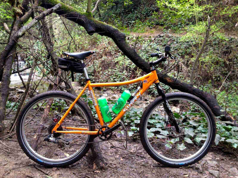 Right side view of an orange Surly Instigator bike, parked on dirt in front of small, leaning trees, in the woods