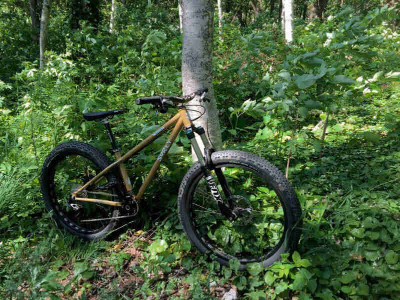Right side view of a Surly Instigator fat bike, parked in weeds, in front of a tree in a forest
