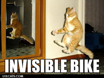 Left side view of a cat, in the air with it's legs straight out, with the words, INVISIBLE BIKE, in bold letters below