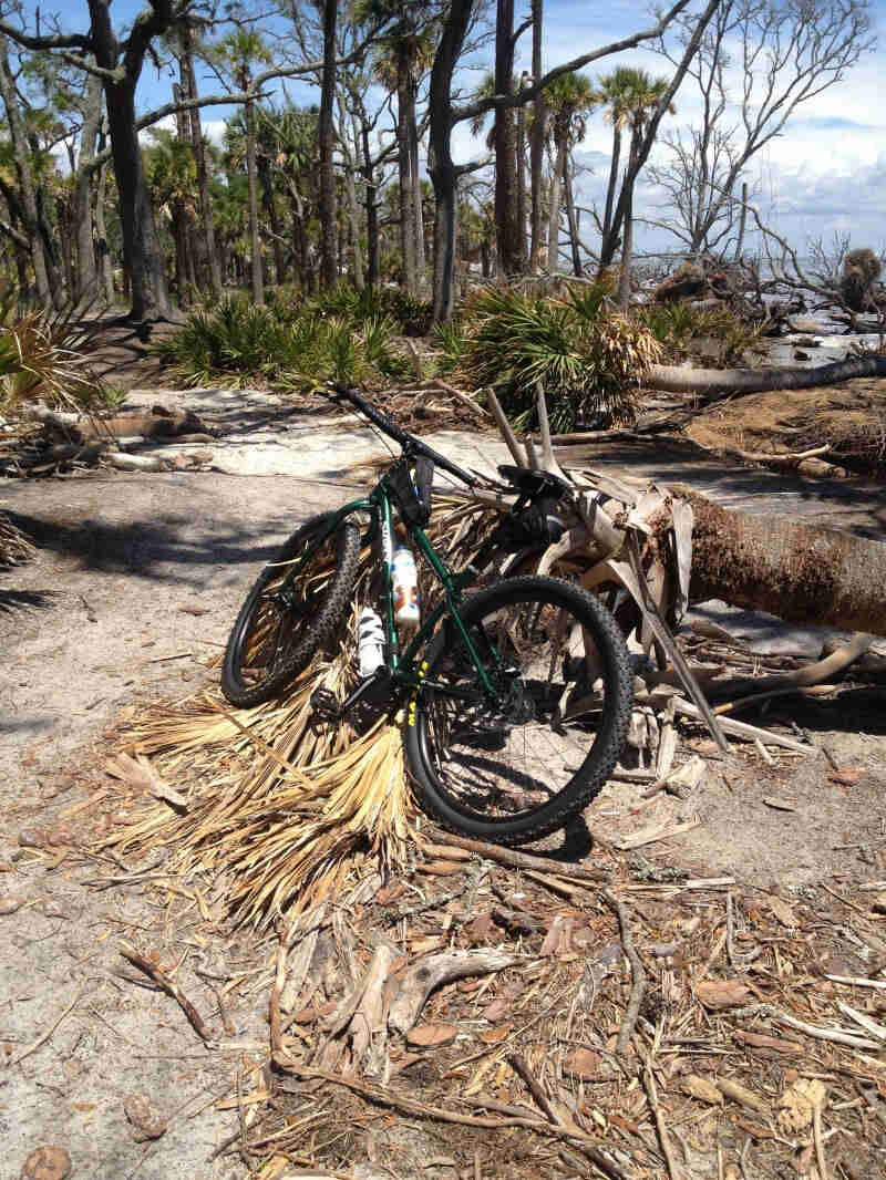 Rear, left side view of a green Surly Krampus bike, parked on sand against a fallen palm tree