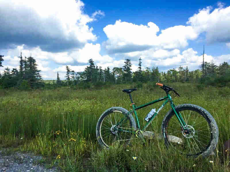 Right side view of a green Surly Krampus bike, parked in a field of tall grass, with trees in the background
