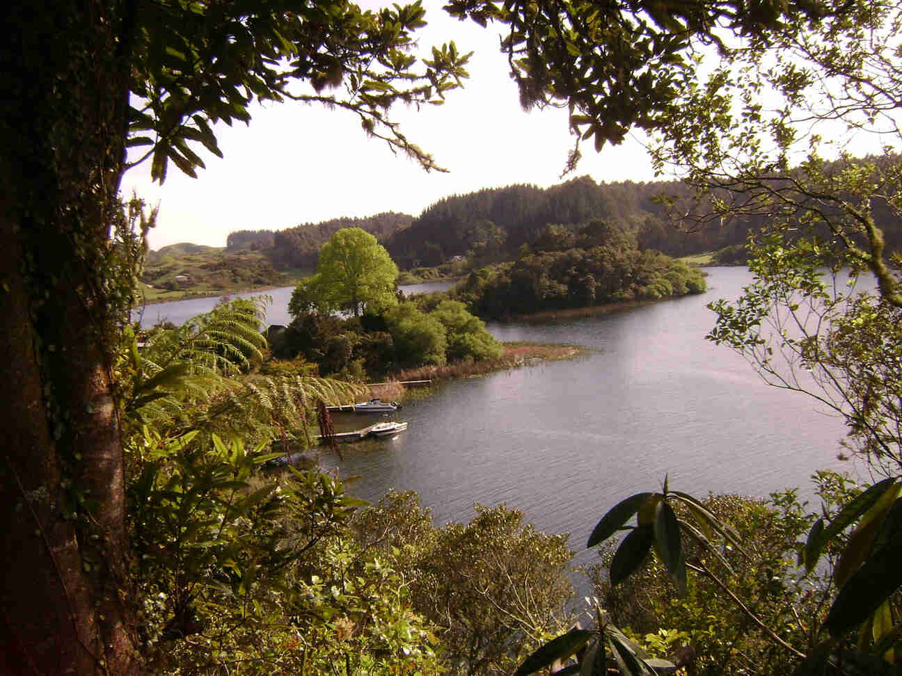 Overlook view of a bay on a lake, with small islands, and forest all around