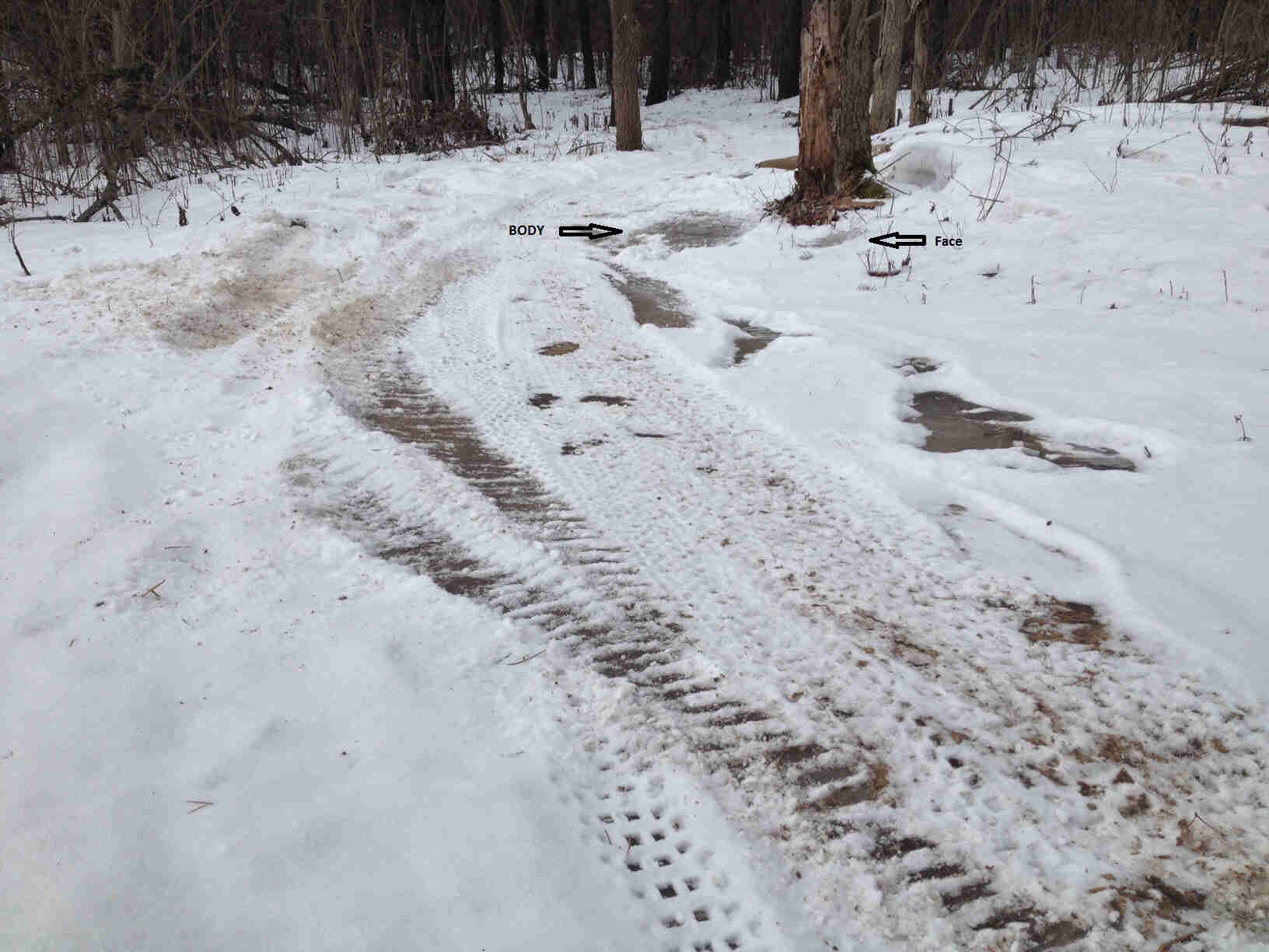 A snow covered road, in the woods with bare trees, with photoshopped text and arrows pointing to a spot in the snow