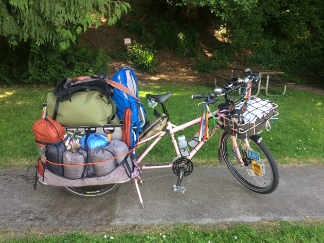 Right profile of a Surly Big Dummy bike, pink, loaded with gear on a paved bike trail with trees behind