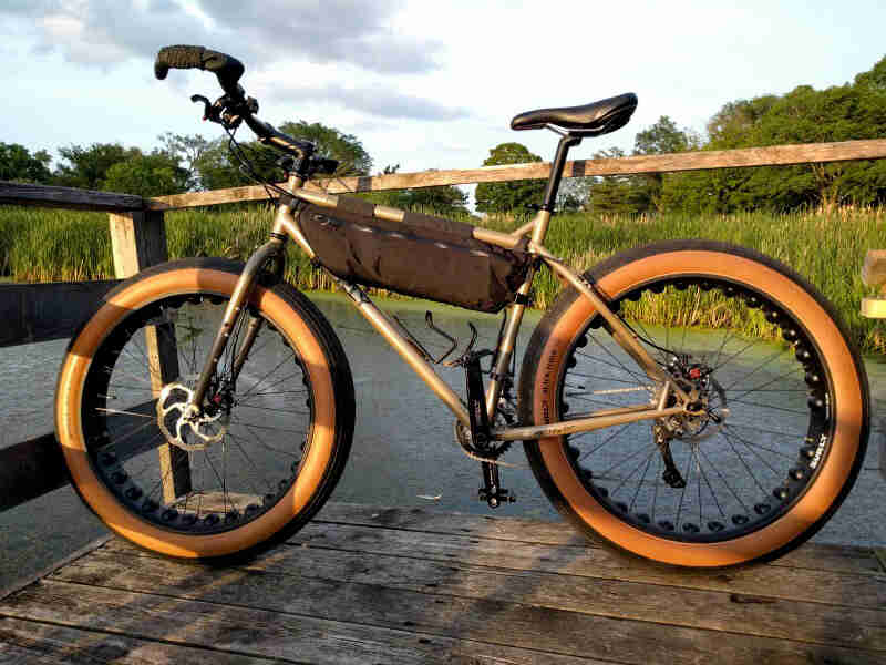 Left side view of a Surly fat bike on a wooden dock, over a pond, with trees and weeds in the background