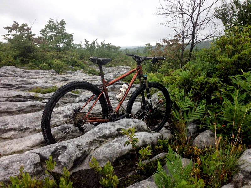 Right side view of a copper Surly bike, parked in a crevice of a stone field, with short trees in the background 