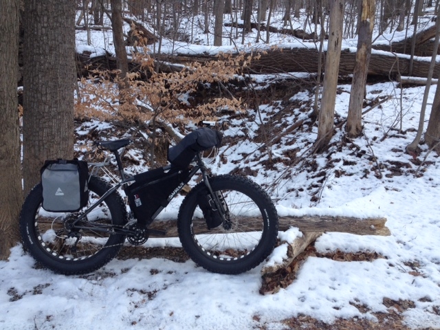 Right side view of a light brown Surly Moonlander fat bike, parked on snow, in front of a log, in the bare woods