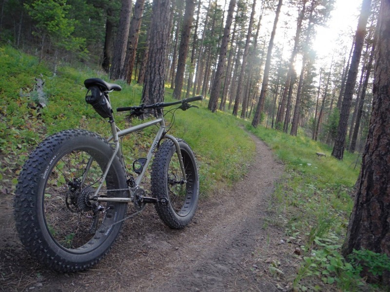 Rear, right side view of an olive drab Surly Moonlander fat bike, facing down a dirt trail in a pine forest