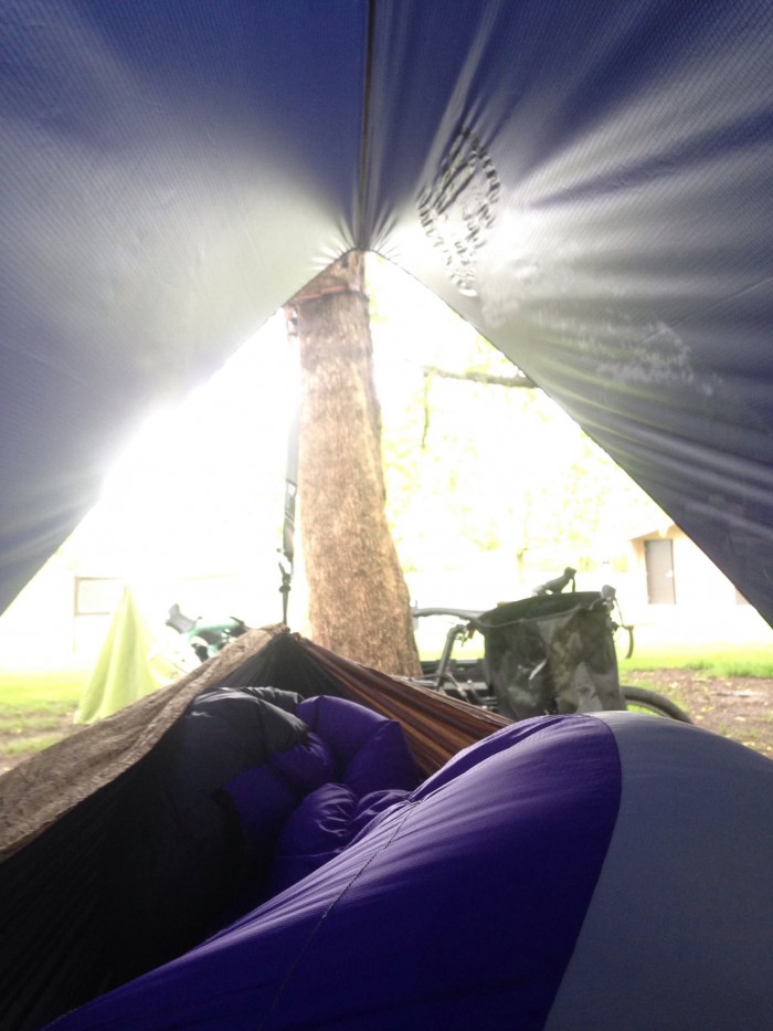 A view looking out of a tent at the right side of a bike leaning against a tree